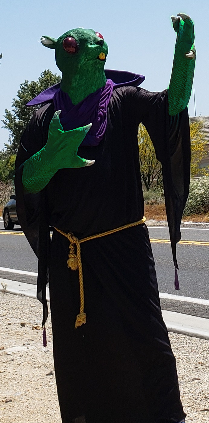 Space Gophers — photo 2