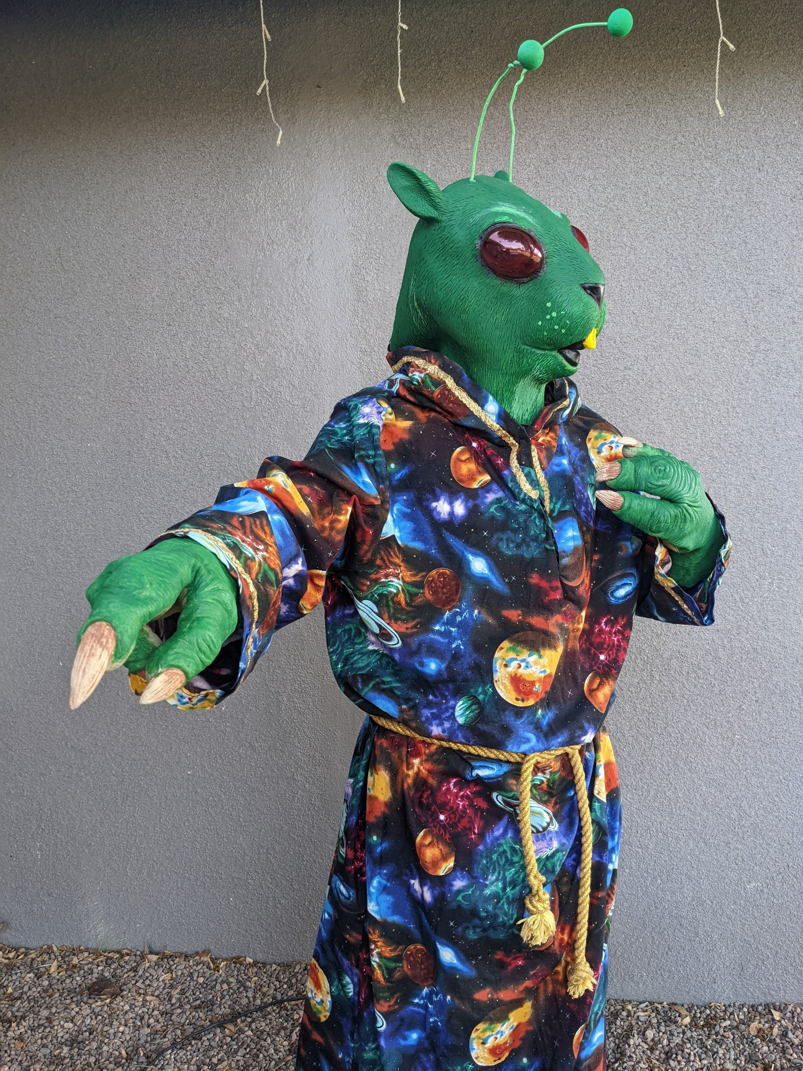 Space Gophers — photo 3