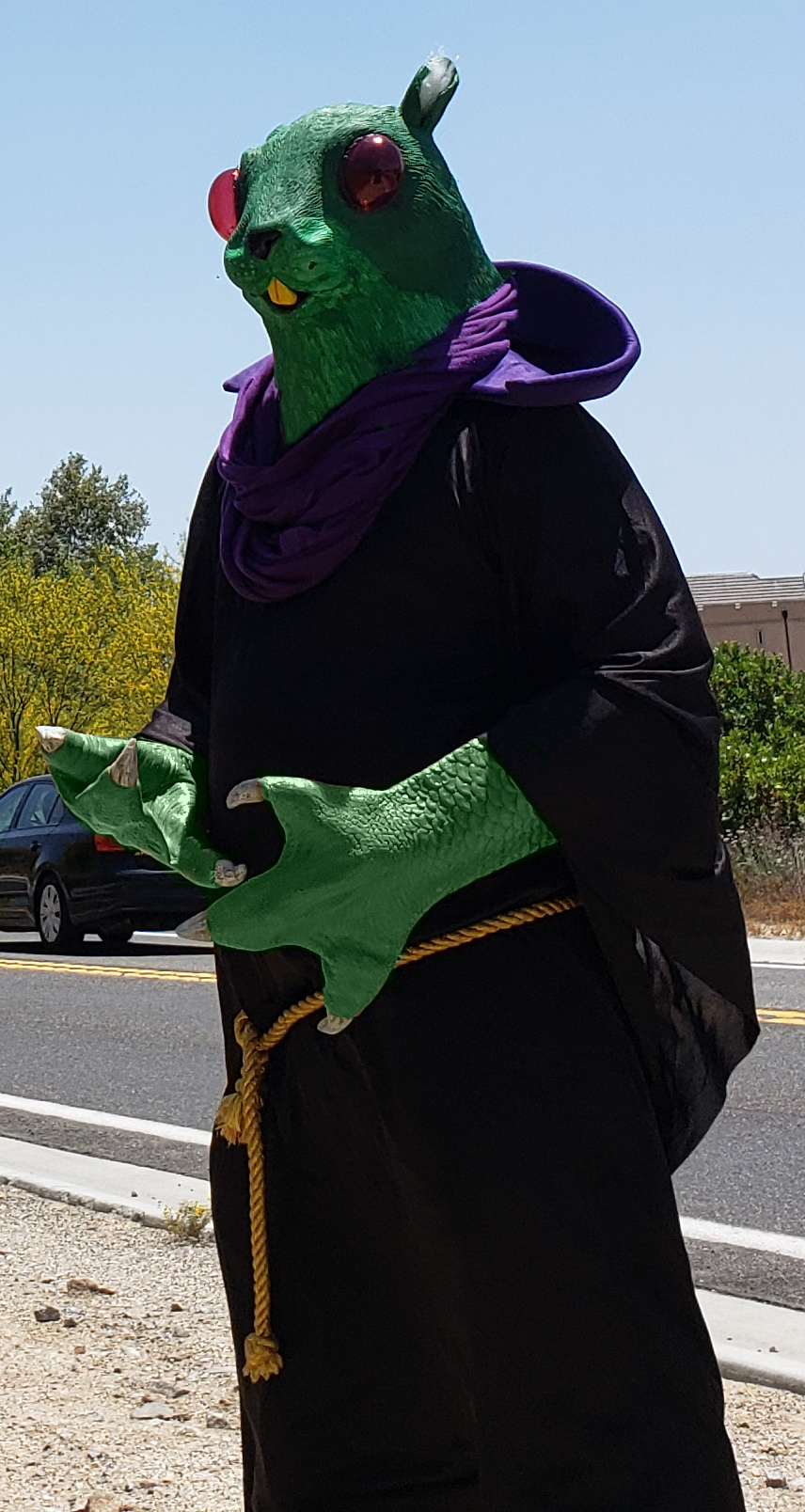 Space Gophers — photo 4